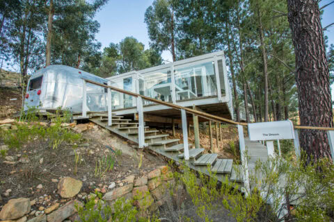 The Dream: the Airstream and its glass-walled room among pines, with its name sign, Old Mac Daddy, Elgin Valley