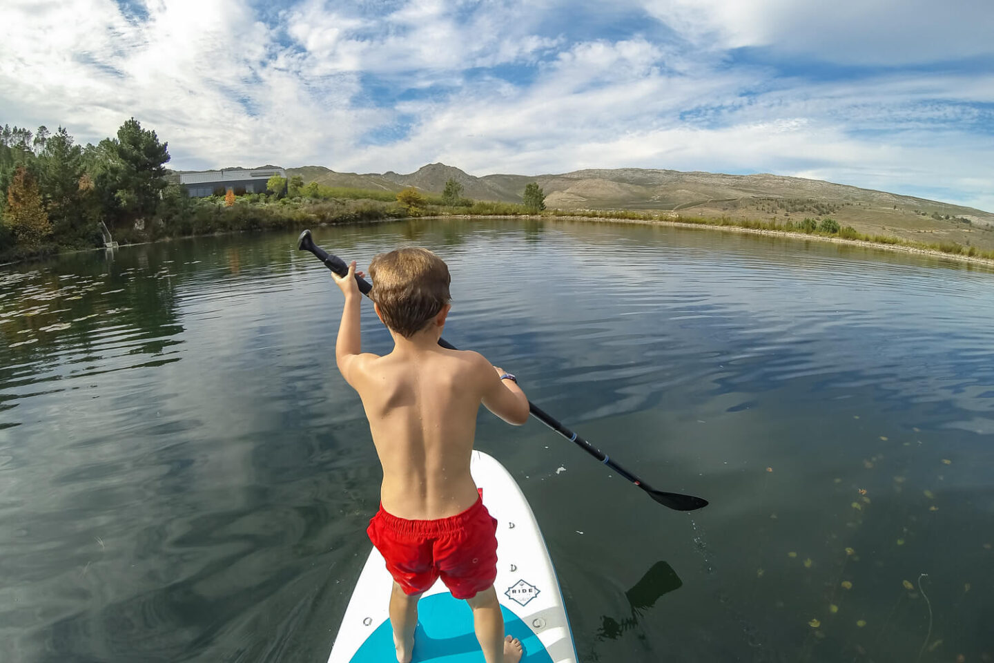 A boy paddling a stand-up paddle board on the lake, Old Mac Daddy, Elgin Valley