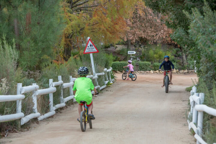 Three children cycling down the estate road past the slow down sign, Old Mac Daddy, Elgin Valley