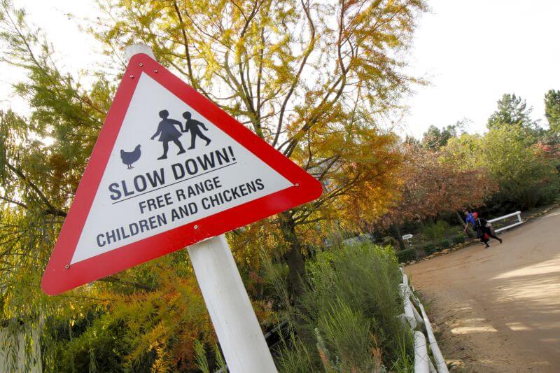 Slow down sign reading Free range children and chickens beside the estate road, Old Mac Daddy, Elgin Valley