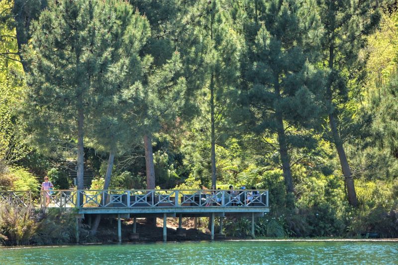 Wooden jetty on the lake edge beneath tall pine trees, Old Mac Daddy, Elgin Valley