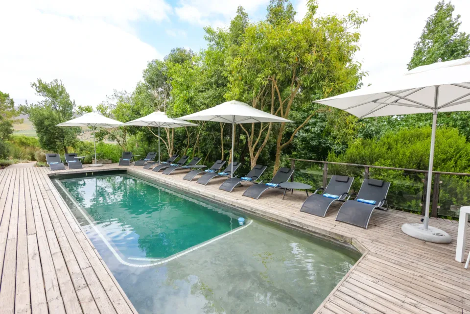 The lap pool and deck, Old Mac Daddy, Elgin Valley