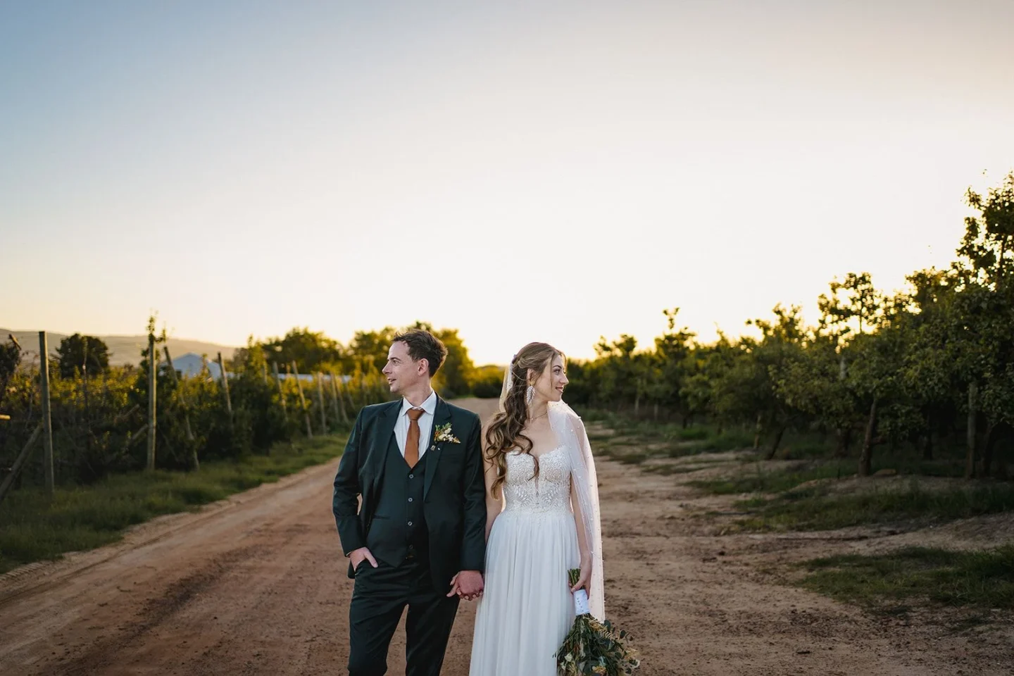 Bride and groom on a farm road in the golden hour, orchards on either side, Old Mac Daddy, Elgin Valley
