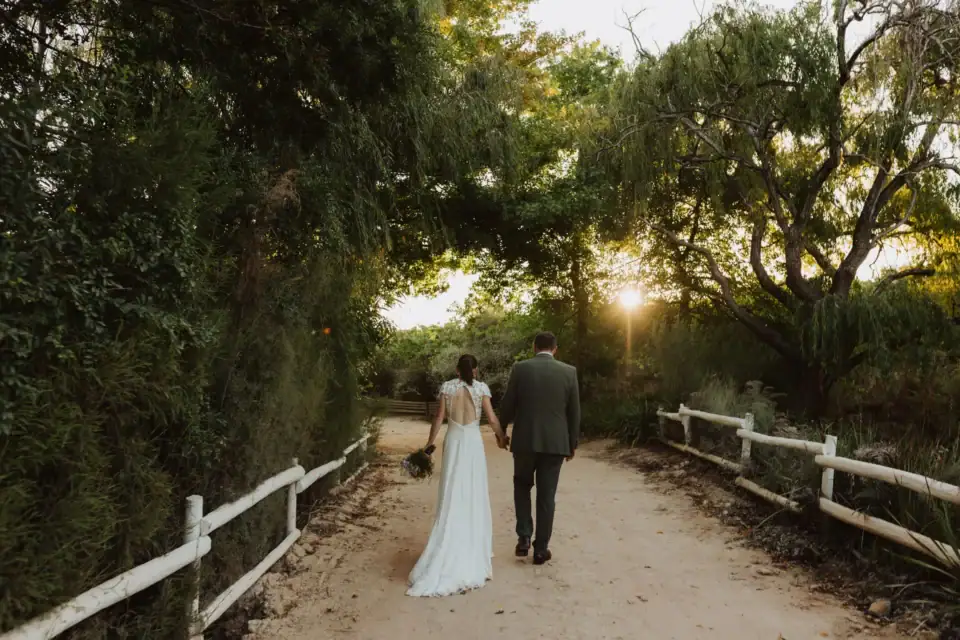 Weddings & Events Bride and groom walking hand in hand down a tree-lined lane with a white fence, low sun ahead, Old Mac Daddy, Elgin Valley