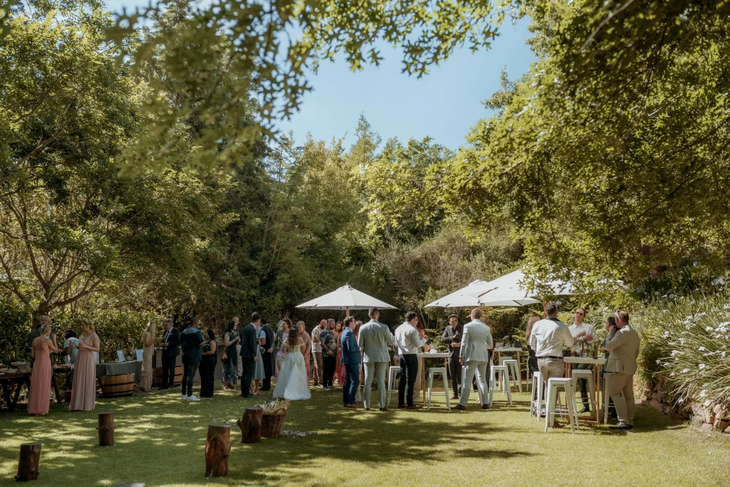 Wide lawn reception, Old Mac Daddy, Elgin Valley