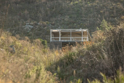 Daddy's Hideaway: the tented camp seen from below through fynbos, Old Mac Daddy, Elgin Valley