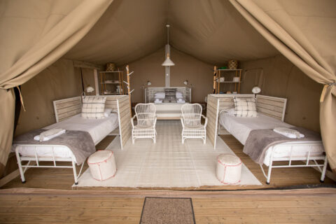 Daddy's Hideaway: tented bedroom with single beds and white rattan chairs, Old Mac Daddy, Elgin Valley