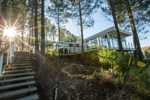 For Better or Boerewors: timber steps up through pines to the Airstreams and their glass decks, Old Mac Daddy, Elgin Valley