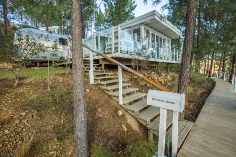 Give Bees a Chance: the Airstream and its glass-walled deck among pines, with a boardwalk, Old Mac Daddy, Elgin Valley