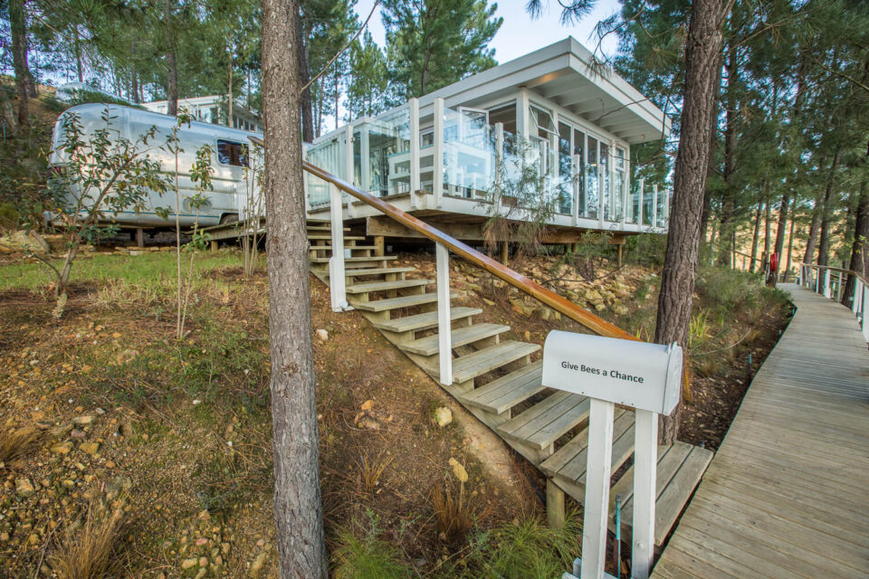 Give Bees a Chance: the Airstream and its glass-walled deck among pines, with a boardwalk, Old Mac Daddy, Elgin Valley