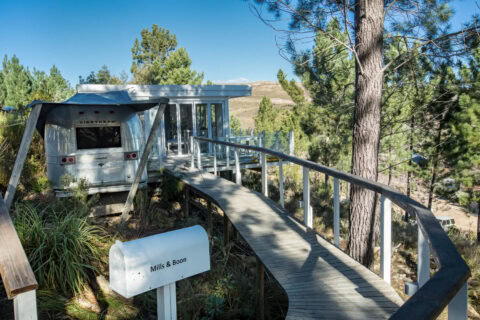 Mills & Boon: boardwalk through the pines to the Airstream and its glass-walled deck, name mailbox in front, Old Mac Daddy, Elgin Valley