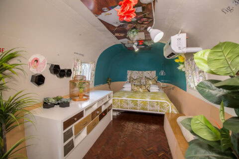 Private Life of Plants: Airstream bedroom with a teal end wall and potted plants, Old Mac Daddy, Elgin Valley