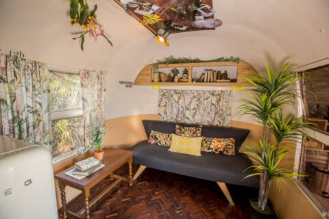 Private Life of Plants: sofa with botanical curtains and potted plants, Old Mac Daddy, Elgin Valley