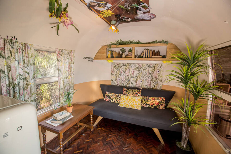 Private Life of Plants: sofa with botanical curtains and potted plants, Old Mac Daddy, Elgin Valley