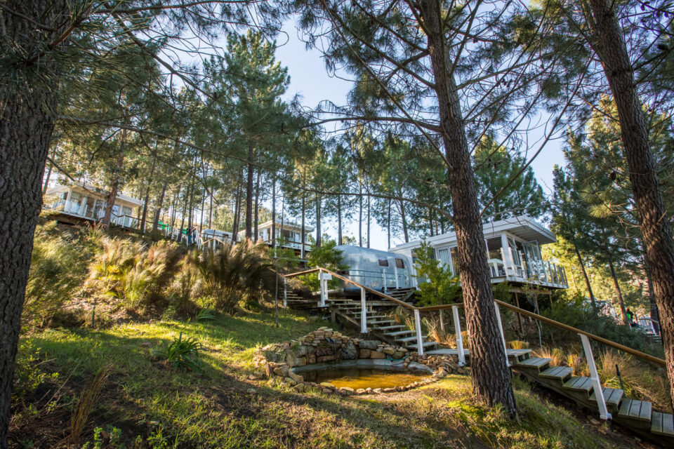 Dig'It: Airstreams on a pine-shaded slope with timber stairs, Old Mac Daddy, Elgin Valley