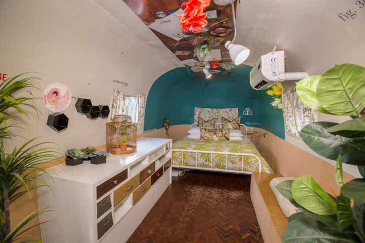 Private Life of Plants: Airstream bedroom with a teal end wall and potted plants, Old Mac Daddy, Elgin Valley