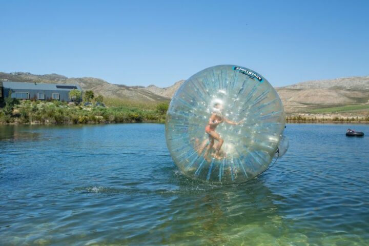 A child inside a water zorb ball on the lake, Old Mac Daddy, Elgin Valley