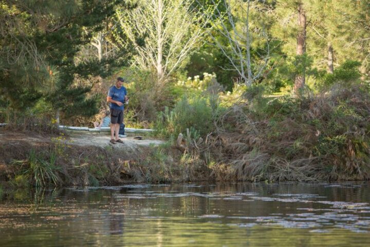 A man standing on the bank of the pond among the trees, Old Mac Daddy, Elgin Valley