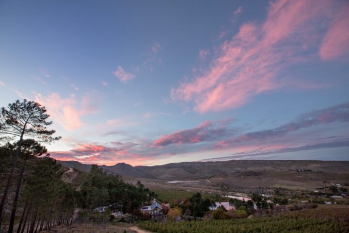Pink clouds at sunset over the valley and farmland, Old Mac Daddy, Elgin Valley