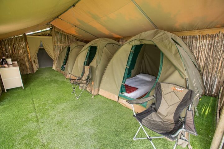 Dome tents with camp chairs under a canvas shelter on artificial grass, Old Mac Daddy, Elgin Valley