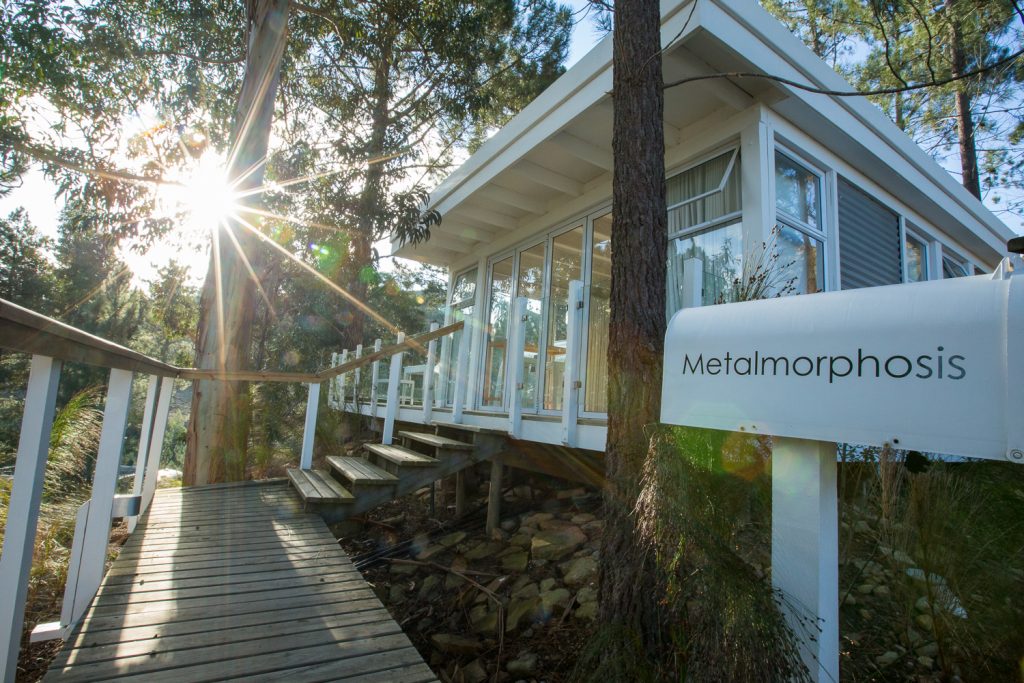 Metalmorphosis: the name mailbox beside the boardwalk to the glass-walled deck, with sun through the pines, Old Mac Daddy, Elgin Valley