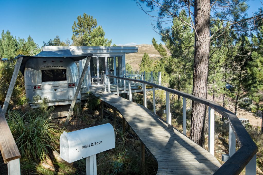 Boardwalk through the pines to the Mills & Boon Airstream and its deck, Old Mac Daddy, Elgin Valley