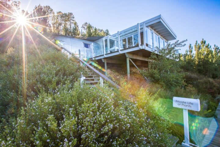 Private Life of Plants: the glass-walled deck on stilts above the fynbos, with its name sign, Old Mac Daddy, Elgin Valley