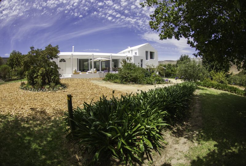 White villa beyond a garden of agapanthus, Old Mac Daddy, Elgin Valley