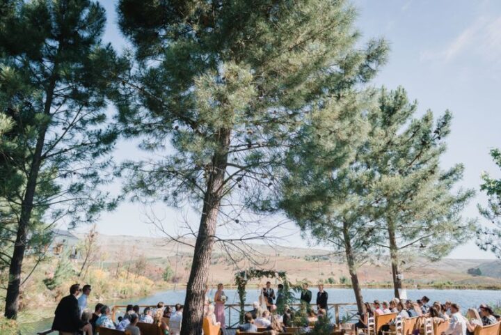 Guests seated under tall pines for a wedding ceremony beside the lake, Old Mac Daddy, Elgin Valley