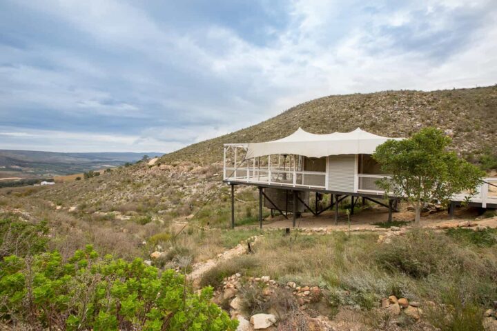 Daddy's Hideaway: canvas-roofed tented camp on stilts on a fynbos hillside, Old Mac Daddy, Elgin Valley